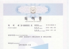 [특허]보행자 …